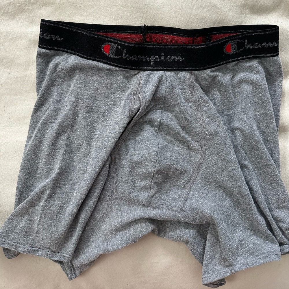 Champion Men's Gray